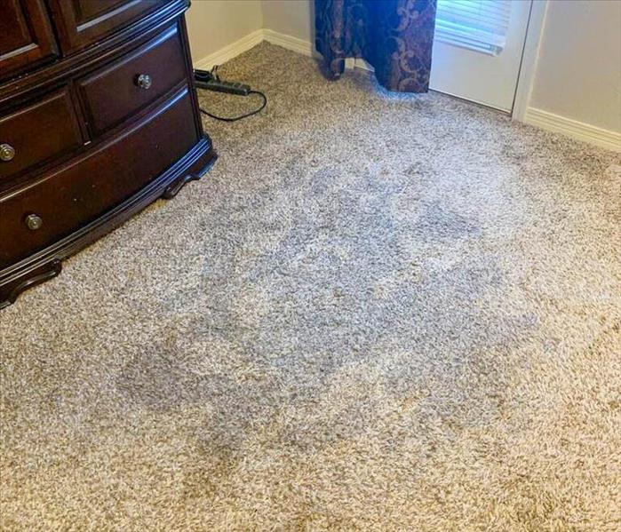 water damage on carpeted floor from ceiling