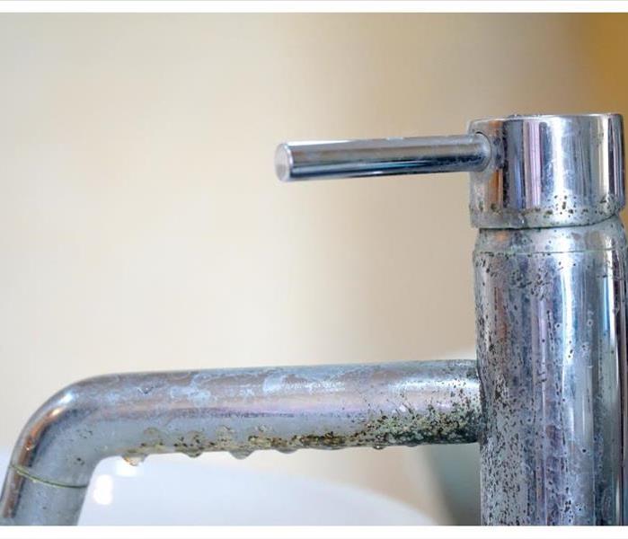 faucet with mold
